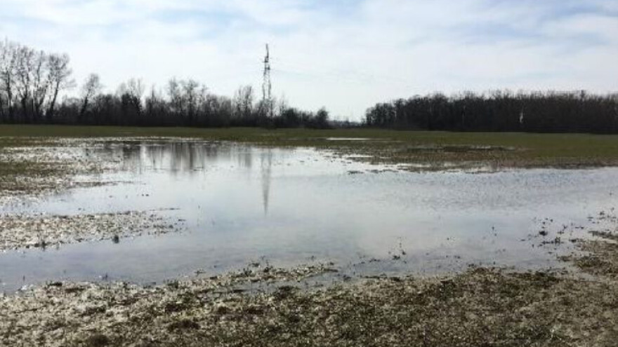 Postavljene drenažne cijevi odvele suvišnu vodu s polja