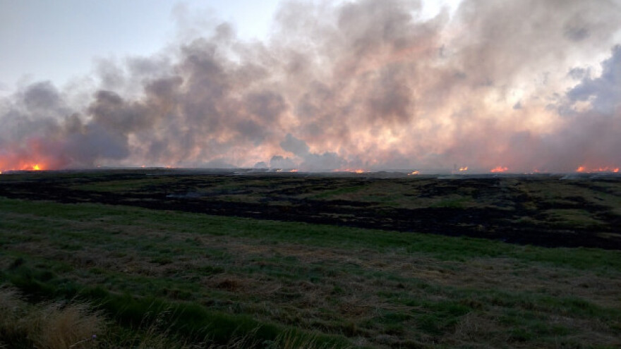 Vatrogasci iz požara spasili 150 praščića