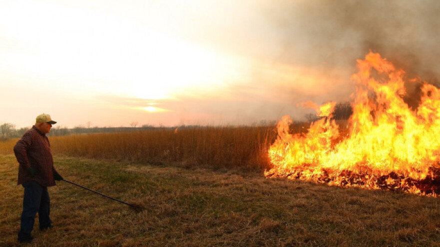 Zaoravanje korisnije od paljenja strnjišta