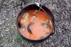 Fiš - pravi recept za punu turističku blagajnu