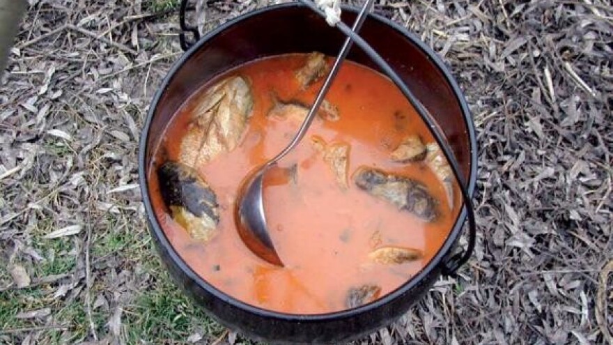 Fiš - pravi recept za punu turističku blagajnu