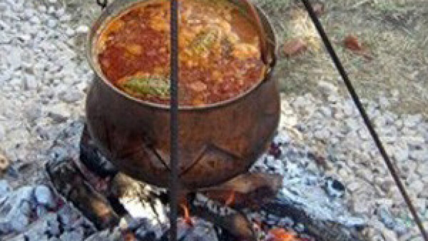 Fišijada u Belišću