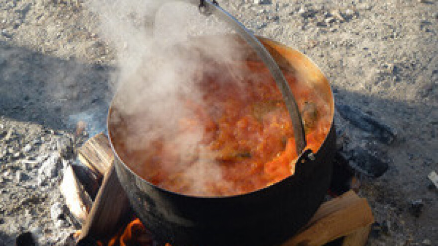 14. Ribarski dani u Kopačevu