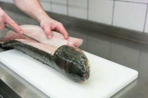 Korona virus potvrđen u hercegovačkoj fabrici za preradu ribe