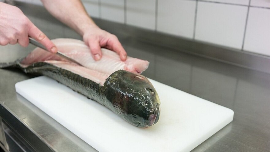 Korona virus potvrđen u hercegovačkoj fabrici za preradu ribe