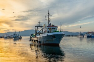 Članice EU jednoglasno poduprle ambiciozne napore za zaštitu oceana i mora