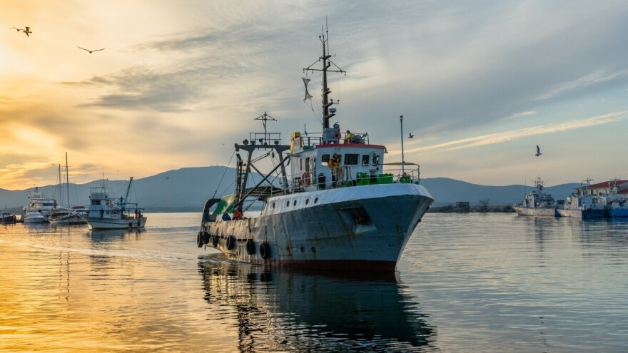 Članice EU jednoglasno poduprle ambiciozne napore za zaštitu oceana i mora