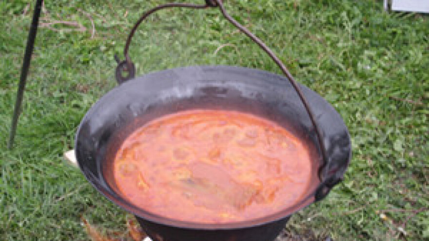 Na baranjski fiš stizali gosti iz cijele Slavonije