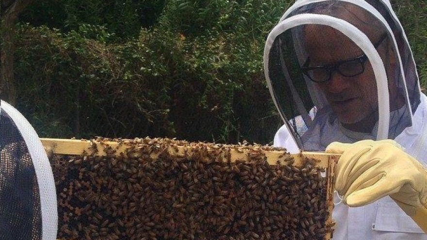 Flea voli pčele: basist Peppersa ima ih 200.000!