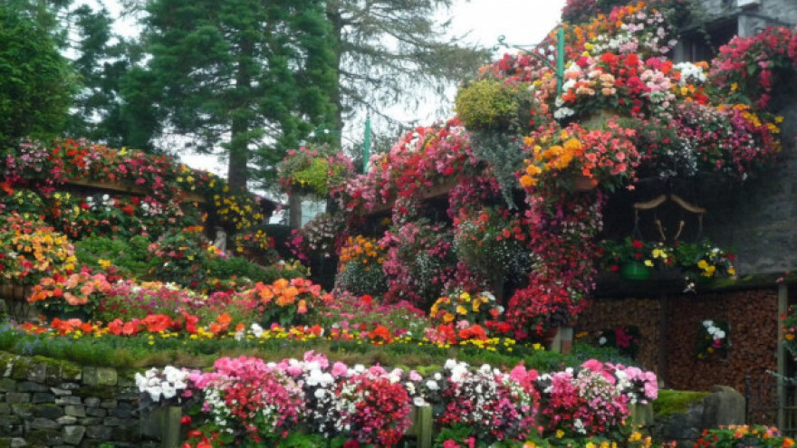 Cvijeće -  jedno od najljepših djela prirode