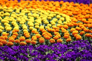 53. međunarodna vrtna izložba Floraart na zagrebačkom Bundeku