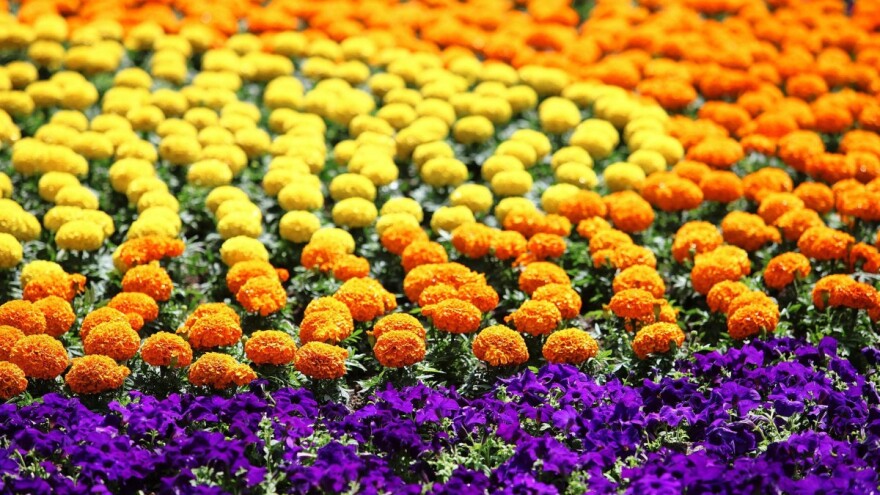 53. međunarodna vrtna izložba Floraart na zagrebačkom Bundeku