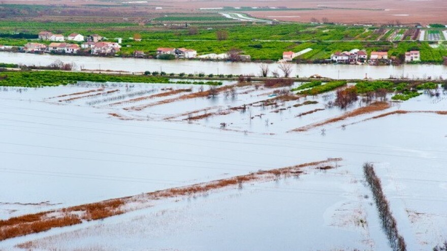 Pomoć poljoprivrednicima i interventni otkup stoke