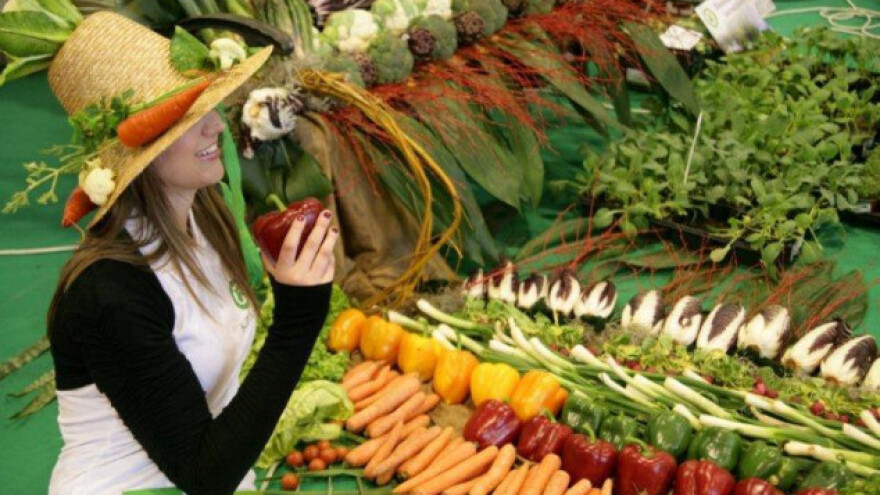 Flora i Altermed - celjski proljetni triplet