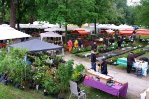 Jubilarni, 55. Floraart u svibnju na jezeru Bundek!