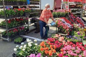 Spremni za Floraart? Očekuje vas 180 izlagača, a zasadit će se 125.000 biljaka