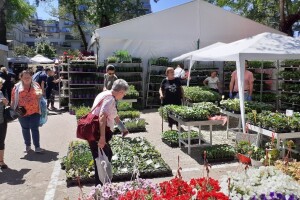 Više od 100 uzgajivača cvijeća na ovogodišnjoj vrtnoj izložbi Floraart na Bundeku