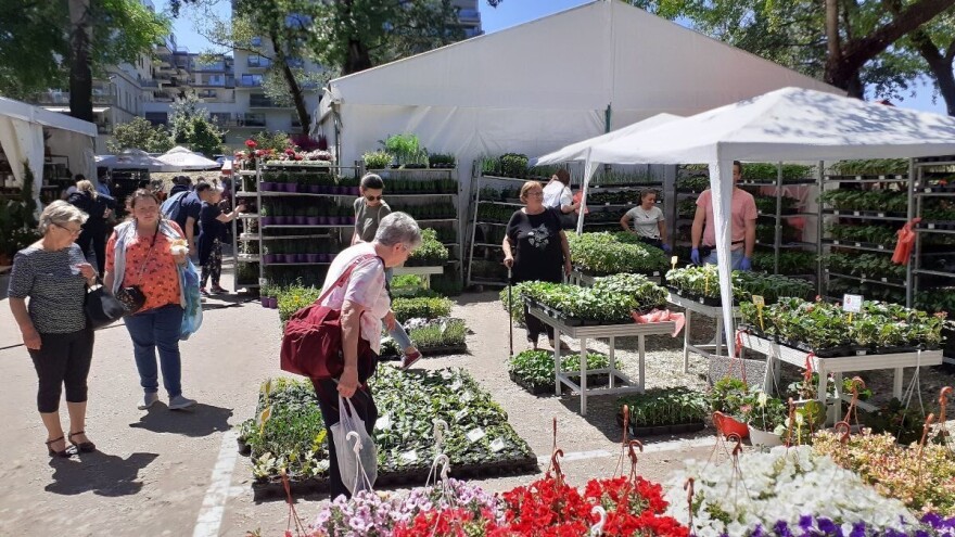 Više od 100 uzgajivača cvijeća na ovogodišnjoj vrtnoj izložbi Floraart na Bundeku