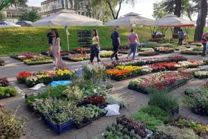 Na Floraartu na Bundeku ljubitelje cvijeća čeka čak 100.000 sadnica!