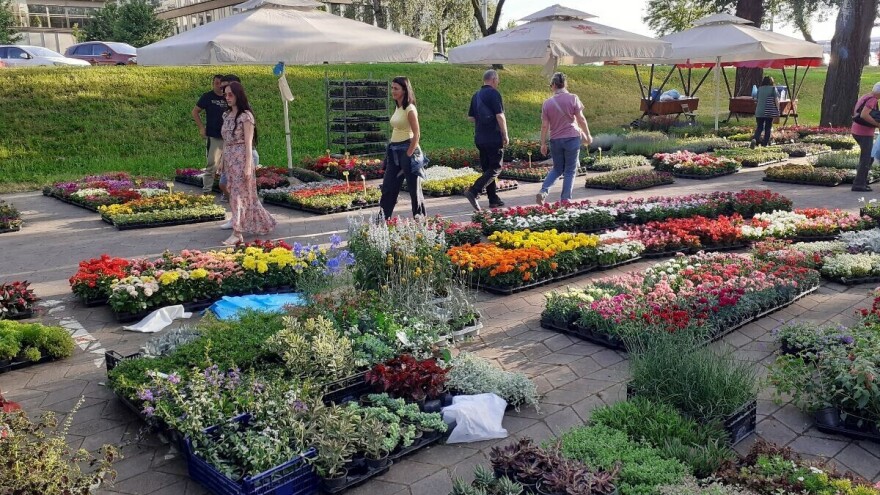 Na Floraartu na Bundeku ljubitelje cvijeća čeka čak 100.000 sadnica!