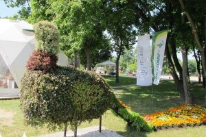 Čili i Coca-cola drvca na Floraartu!