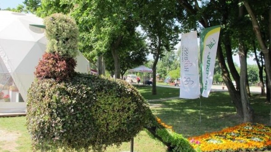 Čili i Coca-cola drvca na Floraartu!