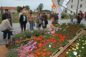 Florafest u Slavonskom Brodu