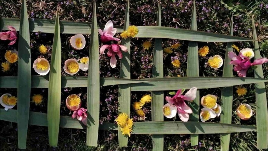 Šta radi florista i šta vrlo važno niste znali o njezi cvijeća?