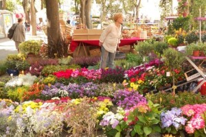 Deveta Florija na Giardinima!