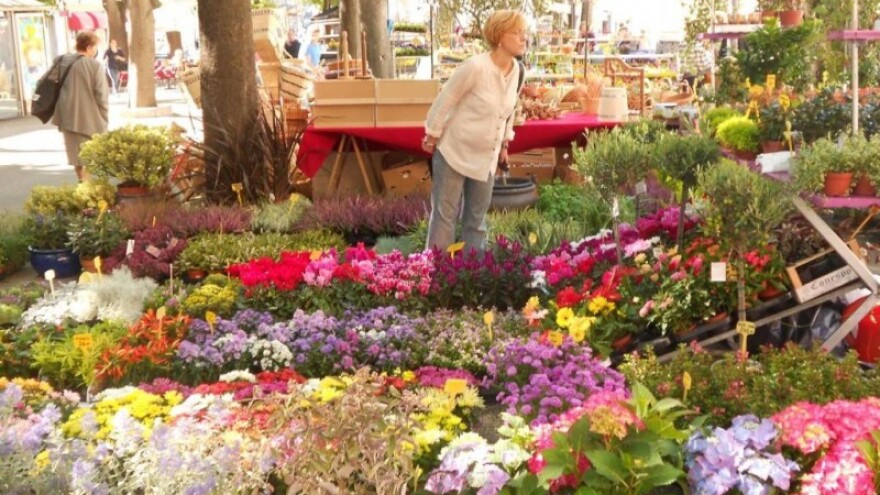 Sajam cvijeća Florija 2014. u Puli