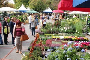 Festival cvijeća u Crikvenici!