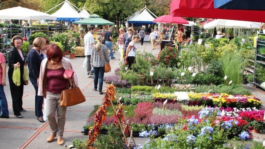 Festival cvijeća u Crikvenici!