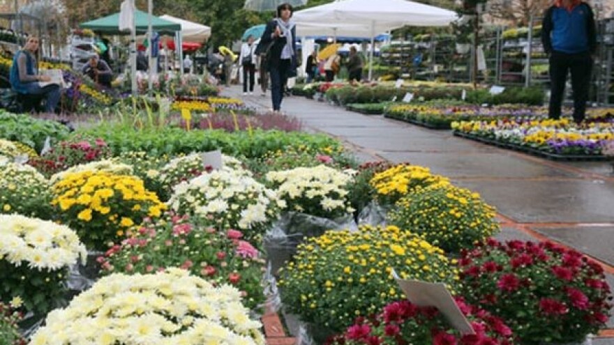 Ljubitelji cvijeća ne propuštaju Florijanu