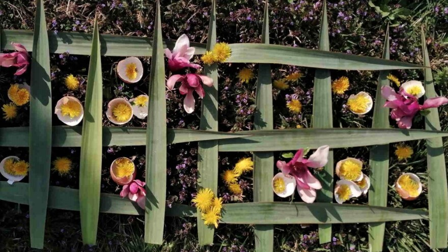 Šta radi florista i šta vrlo važno niste znali o nezi cveća?