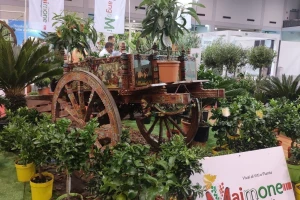 Talijani - majstori promocije, evo što smo vidjeli i čuli na "cvijetnom spektaklu"