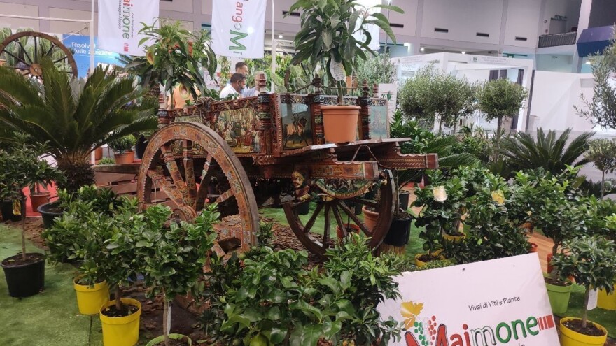 Talijani - majstori promocije, evo što smo vidjeli i čuli na 72. Flormart sajmu u Padovi