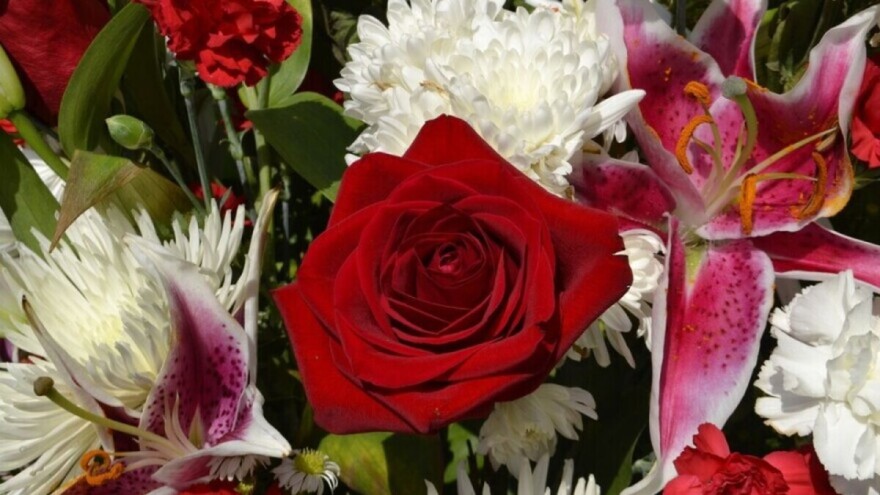 Koje ukrasne biljke je najbolje imati u domu i u neposrednom okruženju?