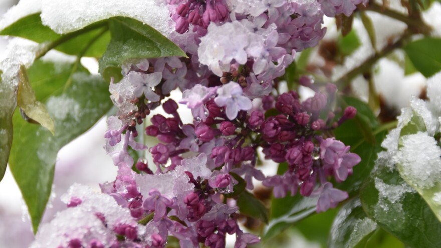 Stižu problemi - moguća pojava mraza!