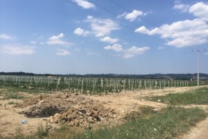 FARMA za tržišno orijentiranu poljoprivredu