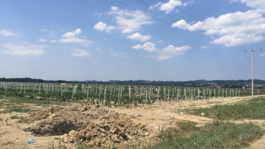 FARMA za tržišno orijentiranu poljoprivredu