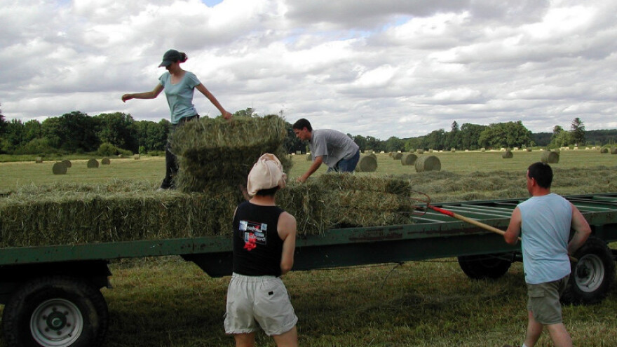 Sufinansiranje samozapošljavanja i zapošljavanja