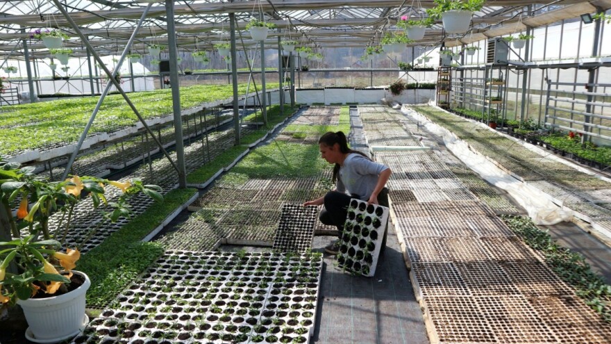 Nedostatak radne snage sprečava širenje poljoprivrednih parcela