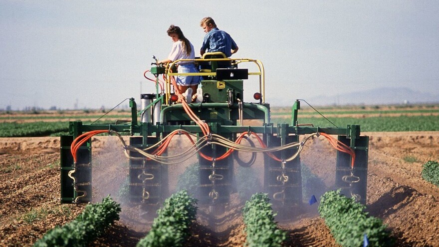 Folijarna prihrana utiče na povećanje prinosa i preporuča se pri intenzivnoj povrćarskoj proizvodnji