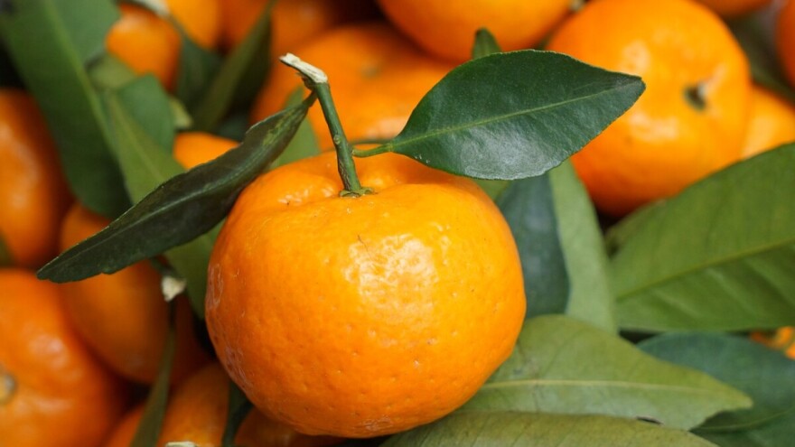Privremeno zabranjena prodaja turskih mandarina