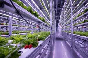 Foodeon, futuristički pristup proizvodnji hrane!