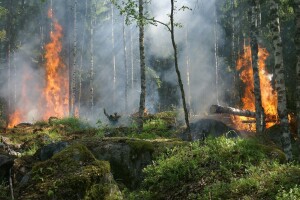 Stravični požari diljem Amazone - dim se vidi čak iz svemira!