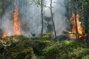 Stravični požari diljem Amazone - dim se vidi čak iz svemira!