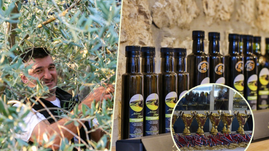 Virus odgodio šušur, maslinare čekaju odličja, a ulja doniraju zadarskoj bolnici!