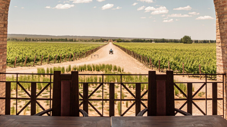 Predstavljamo pet najboljih svetskih vinograda