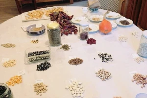 Da li se vraćamo uzgoju autohtonih sorti povrća i žitarica?